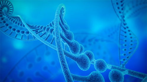 生葆生物首輪融資成功，加速溶瘤細(xì)菌管線臨床試驗(yàn)進(jìn)程