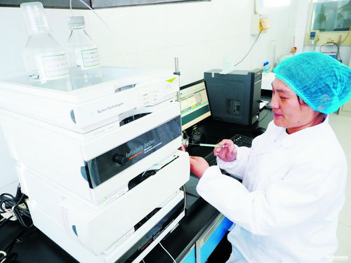 德州瑞康生物科技 深耕研發(fā)，高端產品暢銷海外
